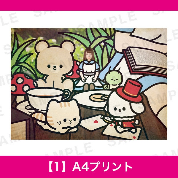 ɴɴŸäʤޤåáڣA4ץ