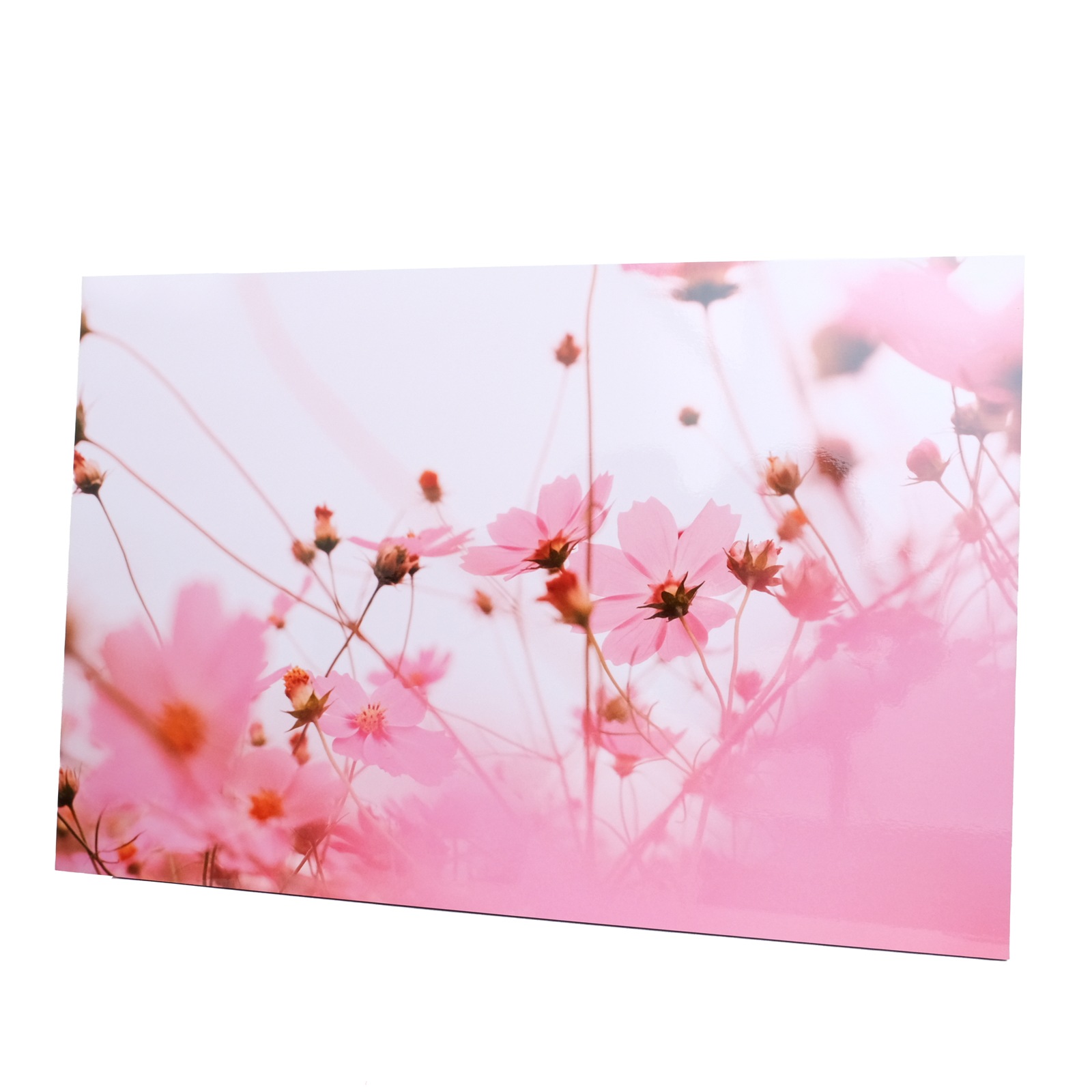 ���Ⱖ轡å�������������̿��ѥͥ�