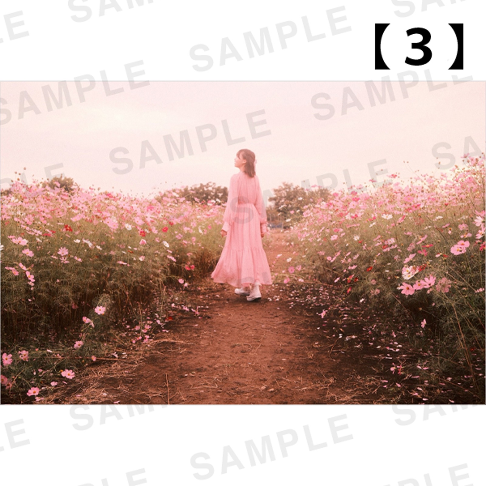 ���Ⱖ轡ã������ʥѥͥ�