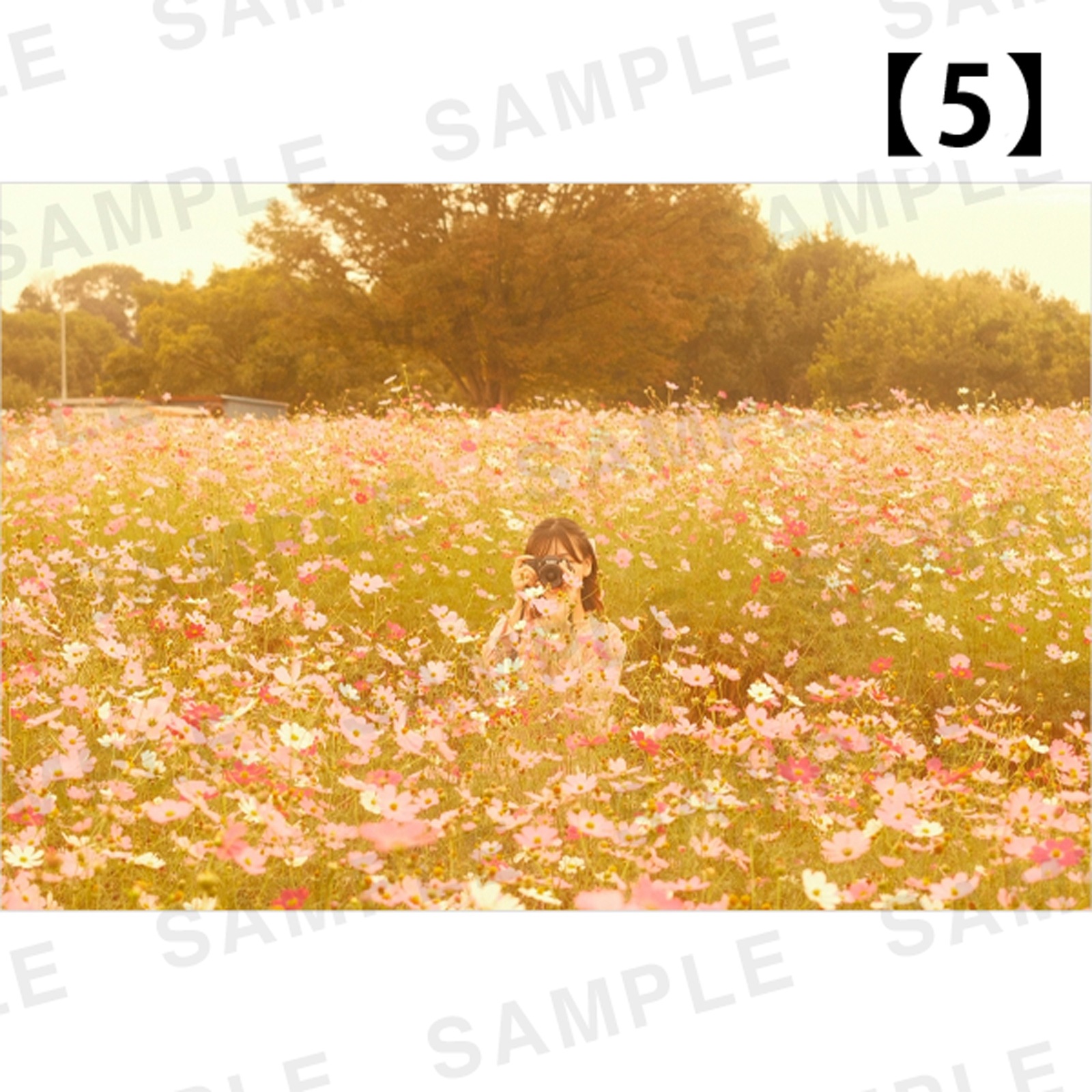 ���Ⱖ轡ã������ʥѥͥ�