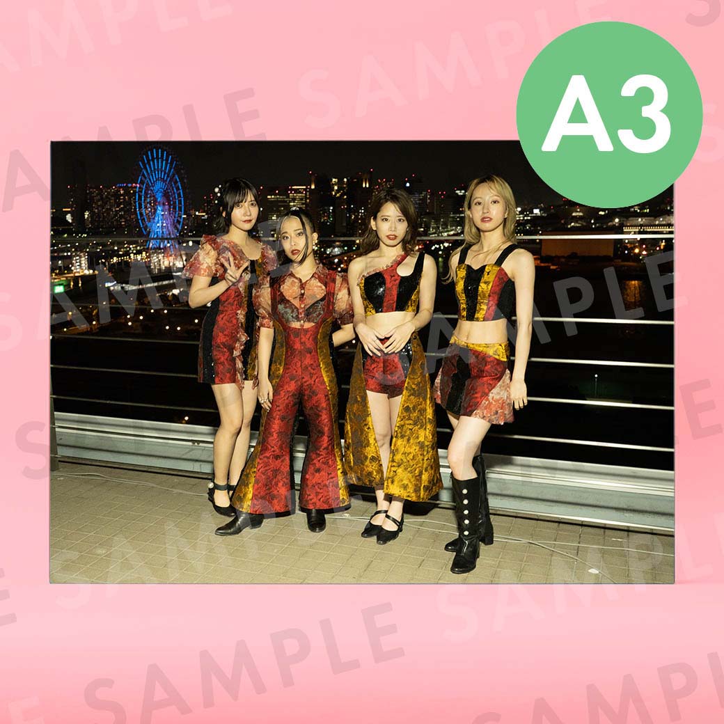 �ե������ե����Υ��󥹡ʥ��������ơ����ˡü̿��ѥͥ�A3��291��414mm��