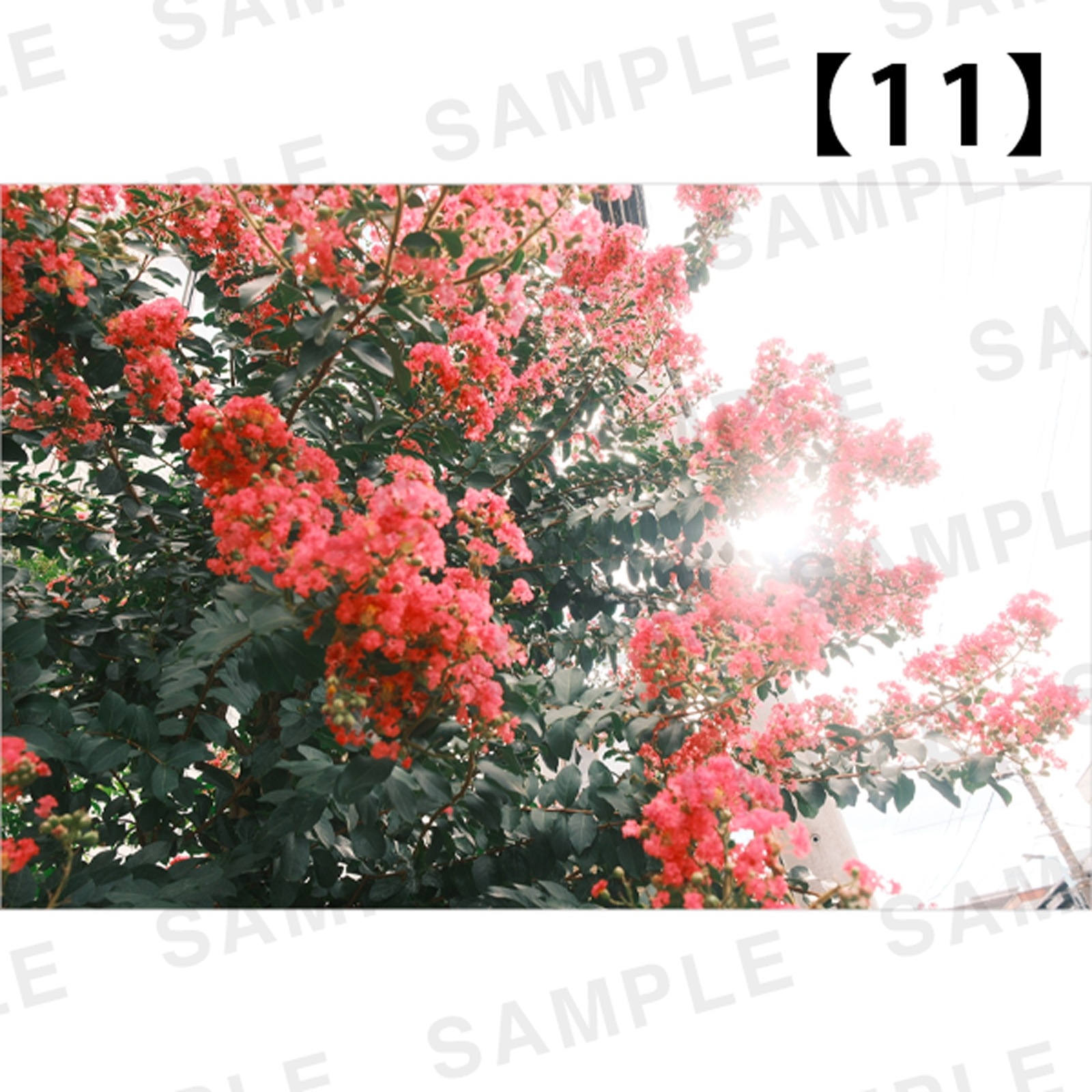 ���Ⱖ轡å���������������ʥѥͥ� 