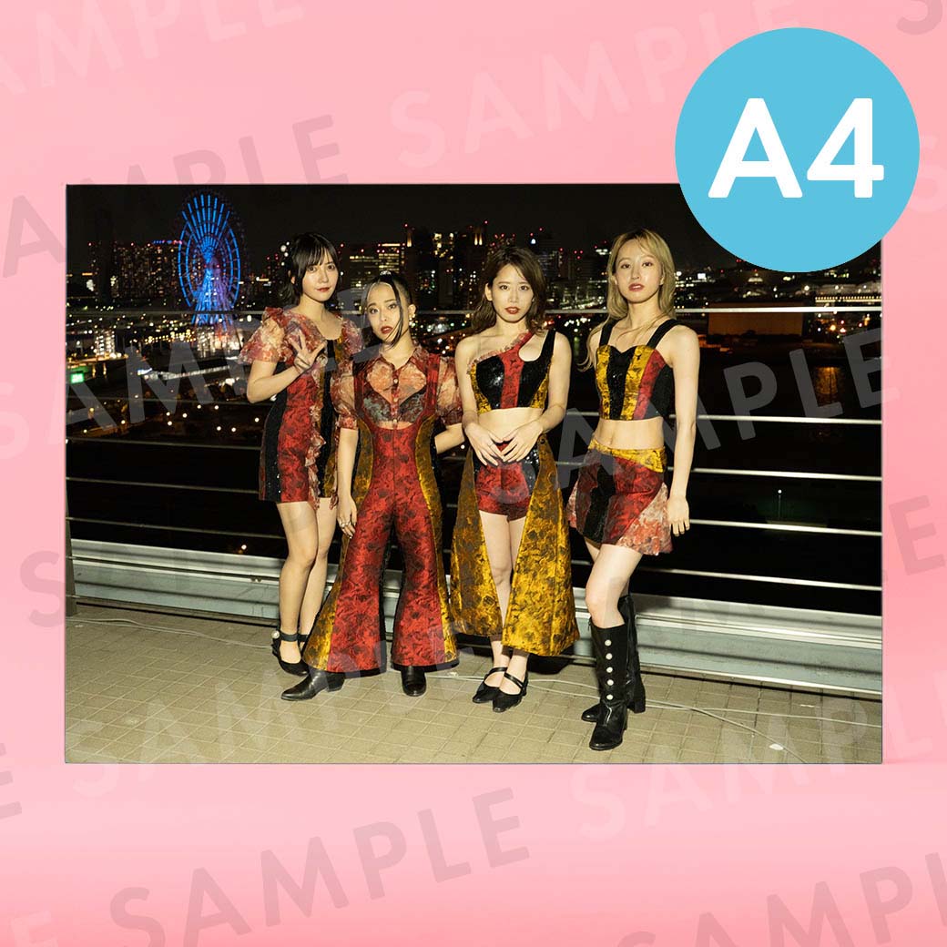 �ե������ե����Υ��󥹡ʥ��������ơ����ˡü̿��ѥͥ�A4��204��291mm��