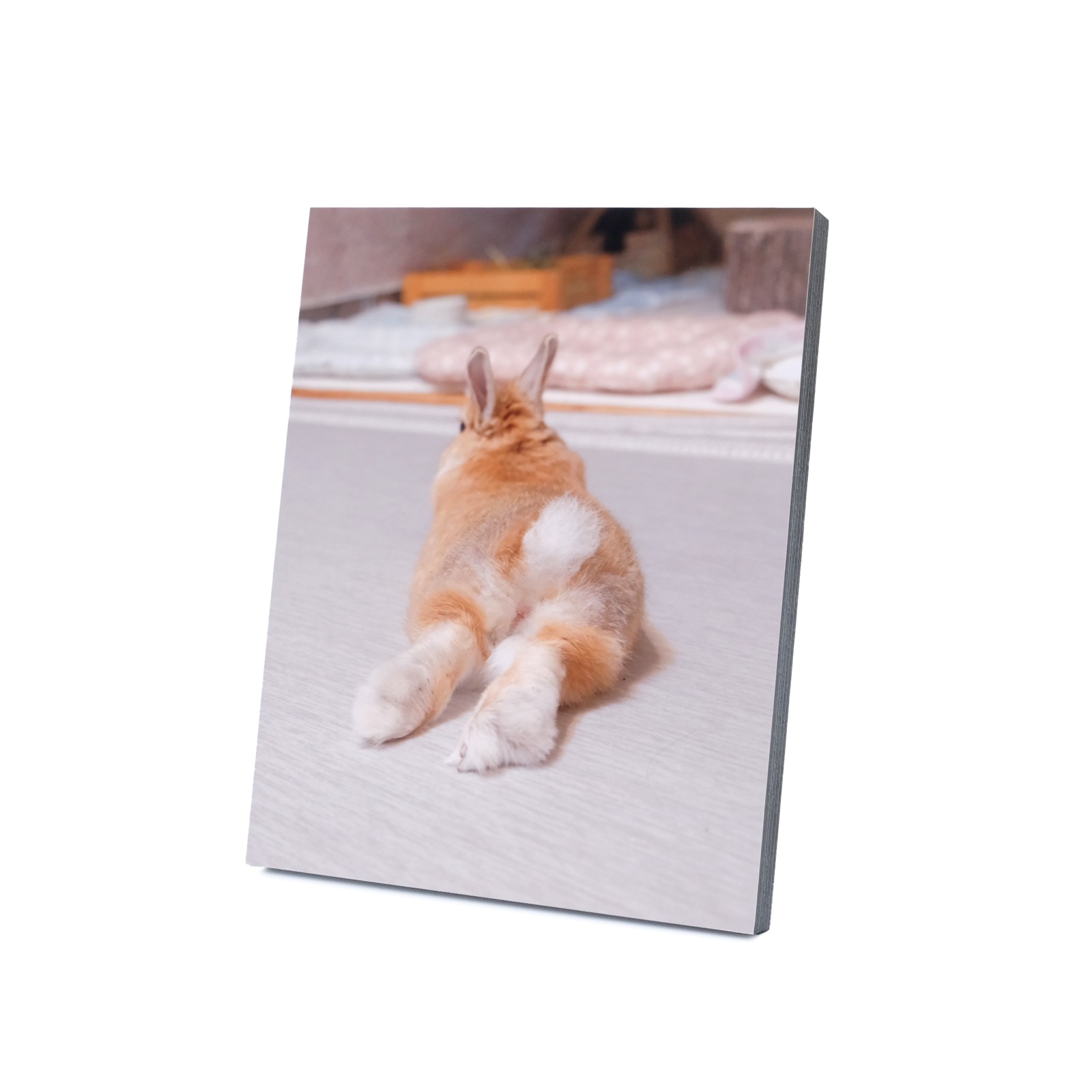 ���Ⱖ轡å��������ꣶ�Хѥͥ�