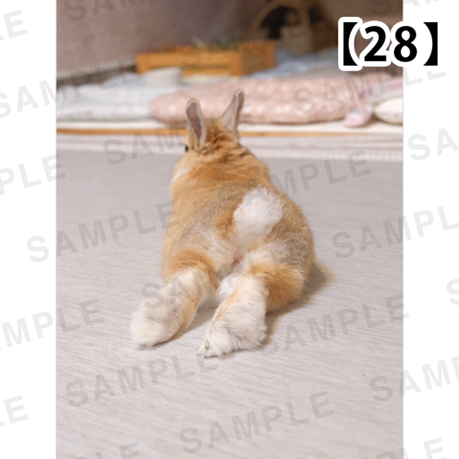 ���Ⱖ轡å��������ꣶ�Хѥͥ�