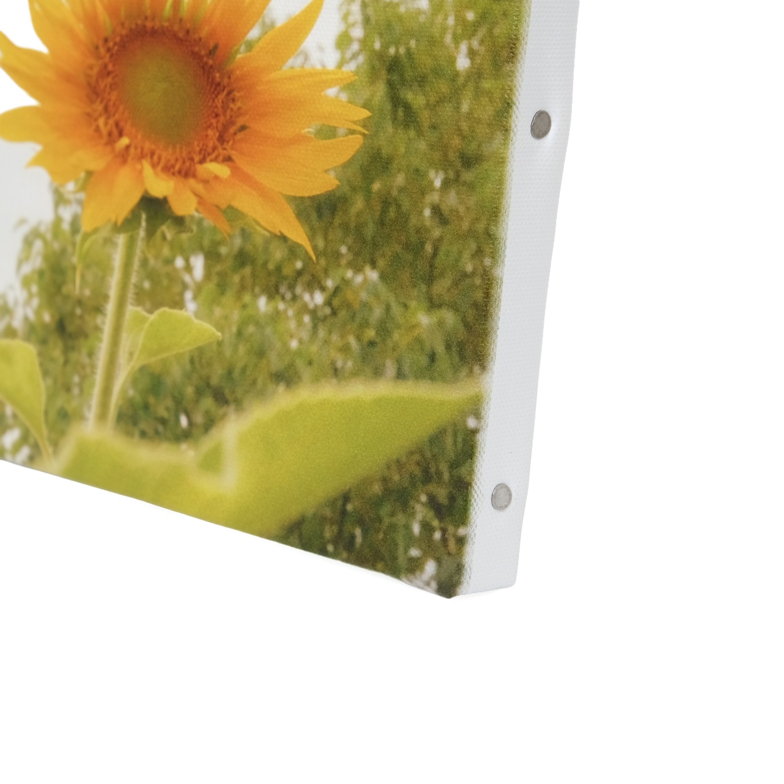 ���Ⱖ轡å���������SQmini�����Х��ѥͥ�