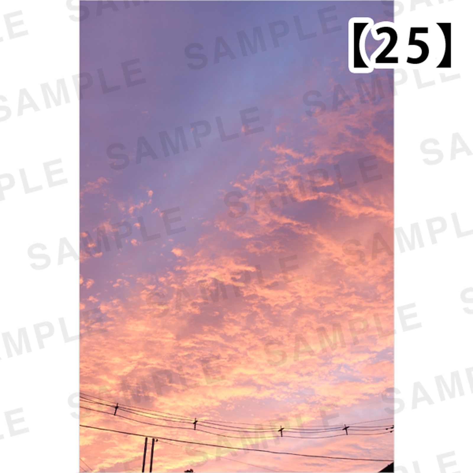 ���Ⱖ轡å���������A�����ʥѥͥ� ��ȯˢ�ѥͥ��