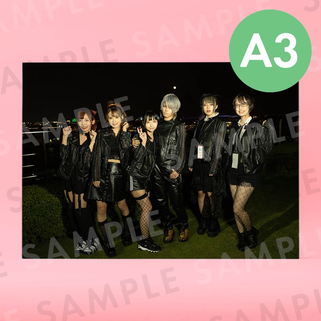 ���ȹ줯������ǡ�����ʥ��������ơ����ˡü̿��ѥͥ�A3��291��414mm��