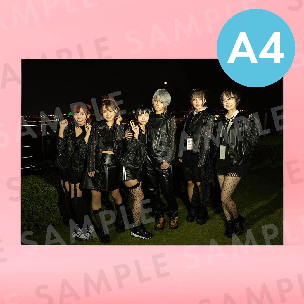 ���ȹ줯������ǡ�����ʥ��������ơ����ˡü̿��ѥͥ�A4��204��291mm��