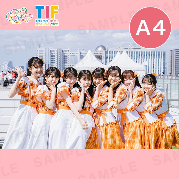 �ƥ饹�ߥƥ饹��A4�������ץ��ȡ�297��210mm��