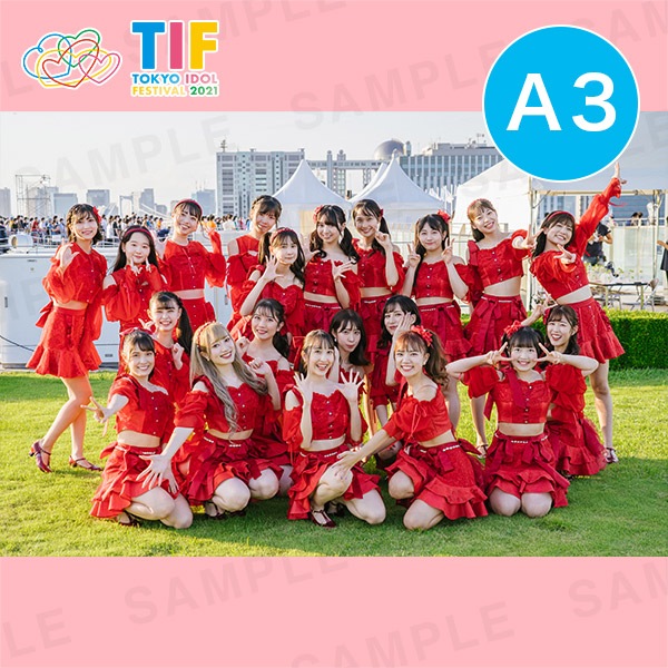 ɥ륫åA3ץȡ297420mm