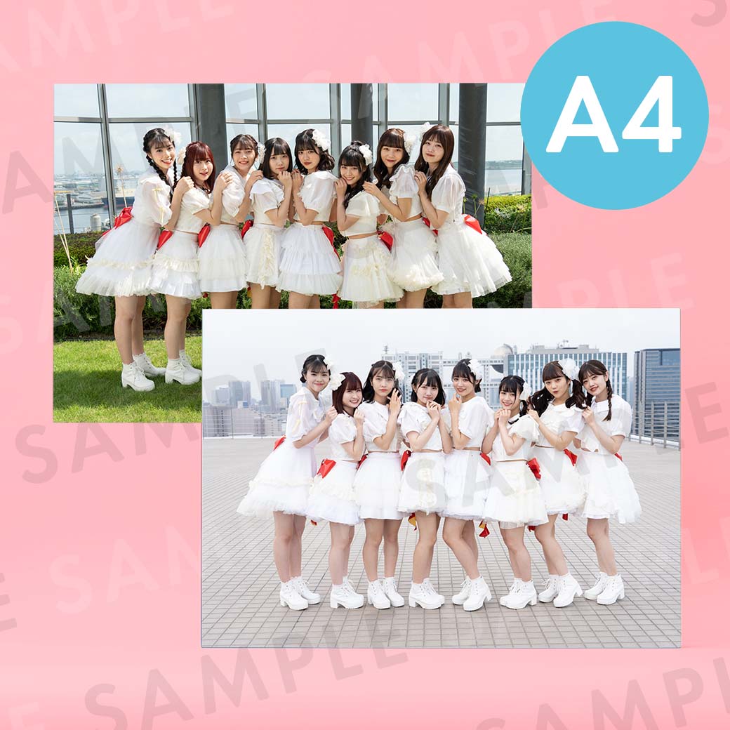 Peel the Apple�ü̿��ѥͥ�A4��204��291mm��