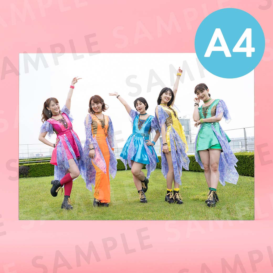 ���åץ��åץ����륺�ʲ��ˡʥ��������ơ����ˡü̿��ѥͥ�A4��204��291mm��