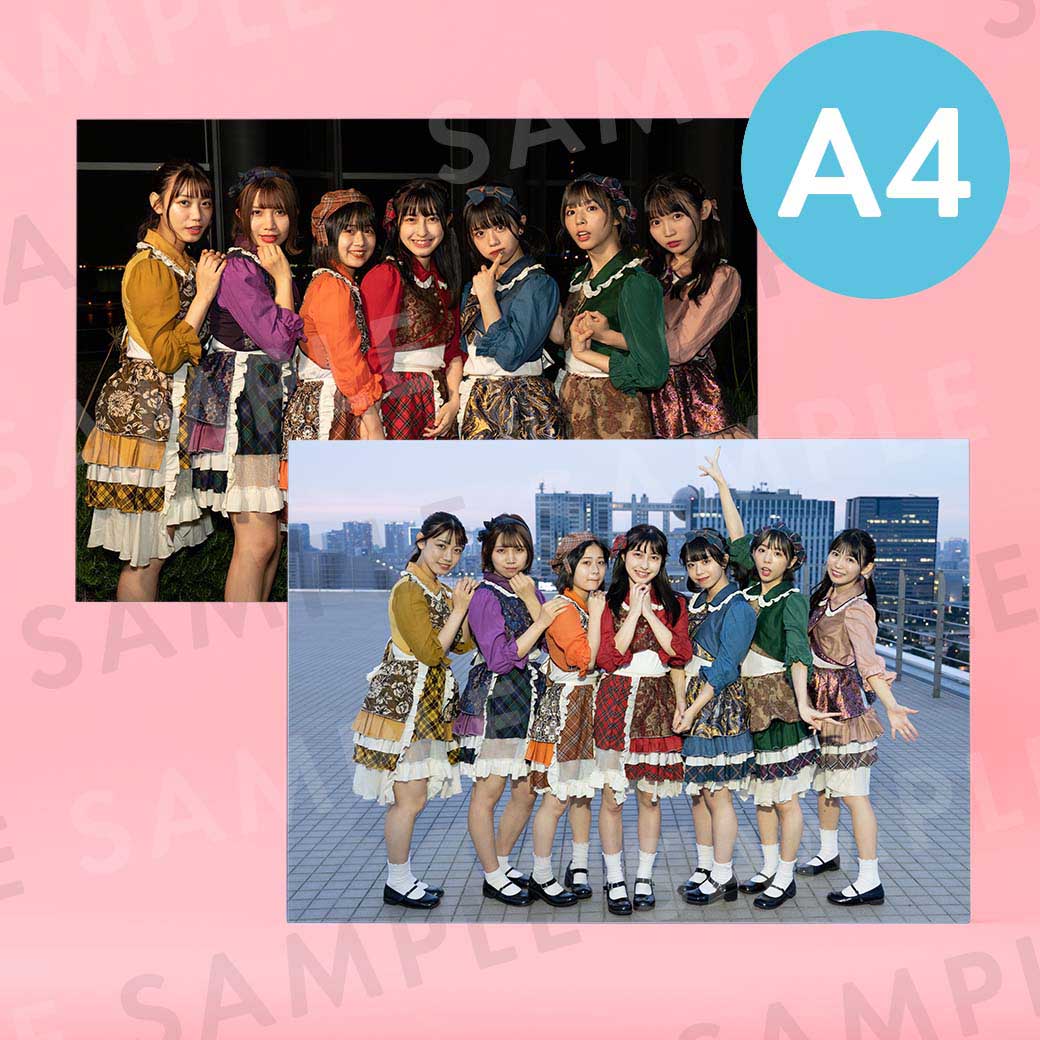 �ʥʥ��ɡü̿��ѥͥ�A4��204��291mm��