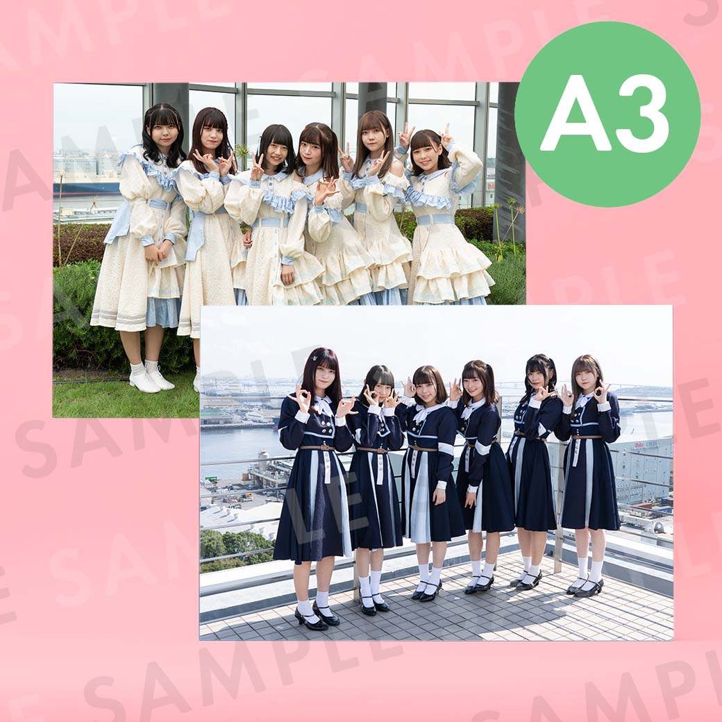 Ʃɥåסü̿ѥͥA3291414mm