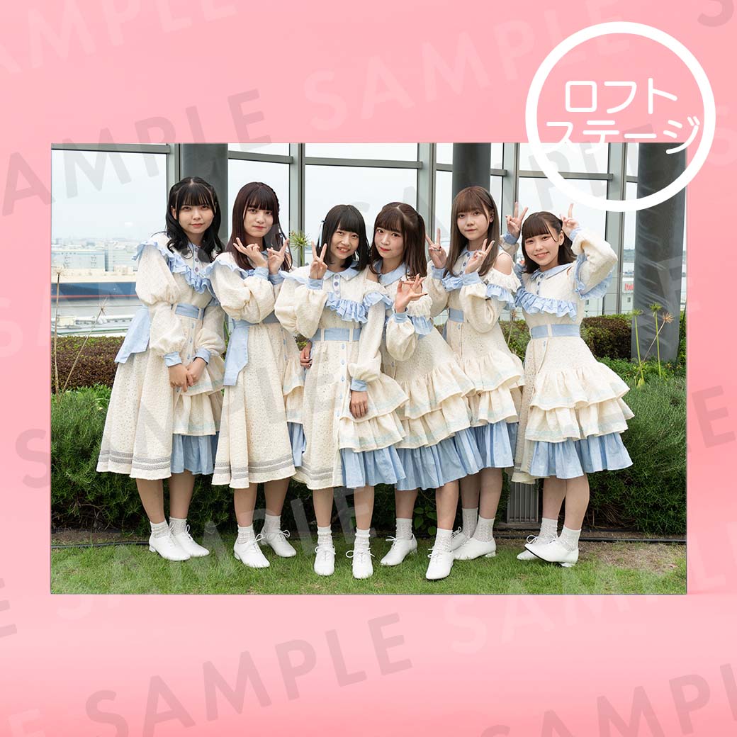 Ʃɥåסü̿ѥͥA4204291mm