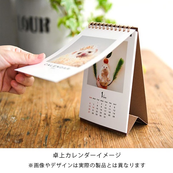 ޥ롦ѥ饤奫2022ǯ1Ϥޤ