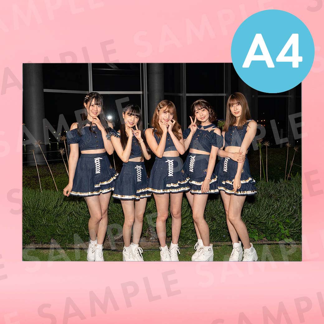 Ange��Reve�ʥ��եȥ��ơ����ˡü̿��ѥͥ�A4��204��291mm��