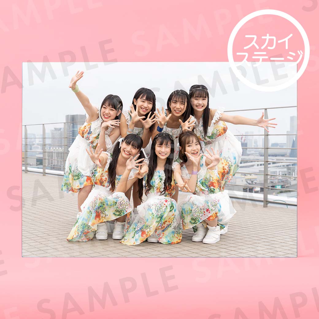 BudLaBü̿ѥͥA3291414mm