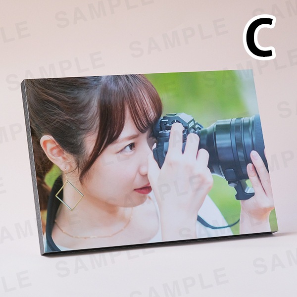 ���������ü̿��ѥͥ�A4��������������3���