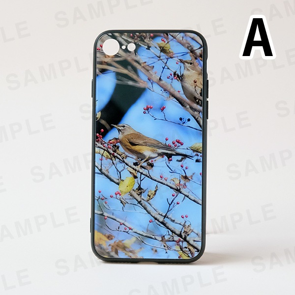 ���������å��ޥۥ���������3���