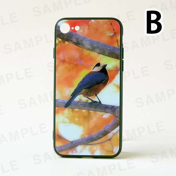 ���������å��ޥۥ���������3���