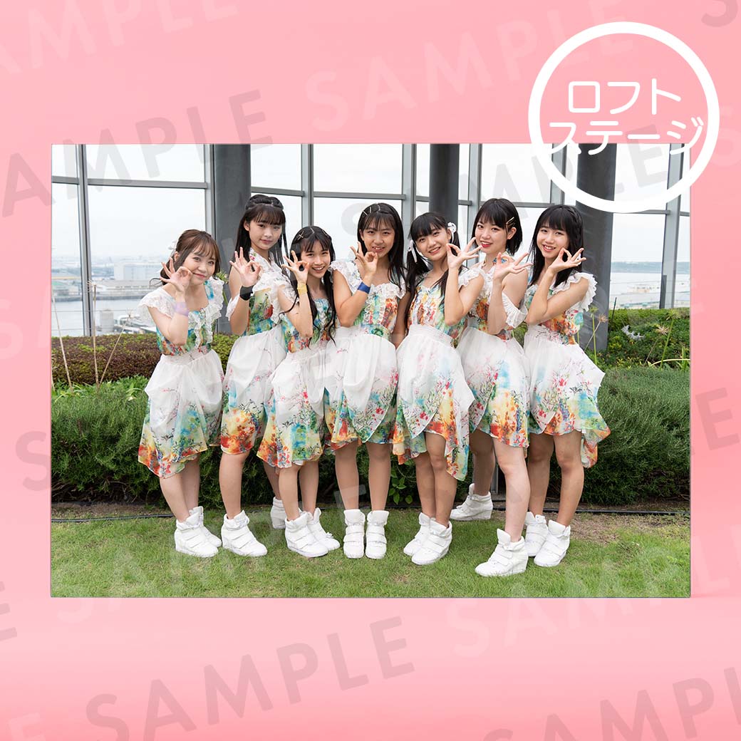 BudLaBü̿ѥͥA4204291mm