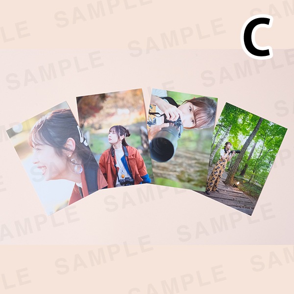 ���������ü̿��ץ��ȥ��åȡ�L������4�祻�å� �� ��5���