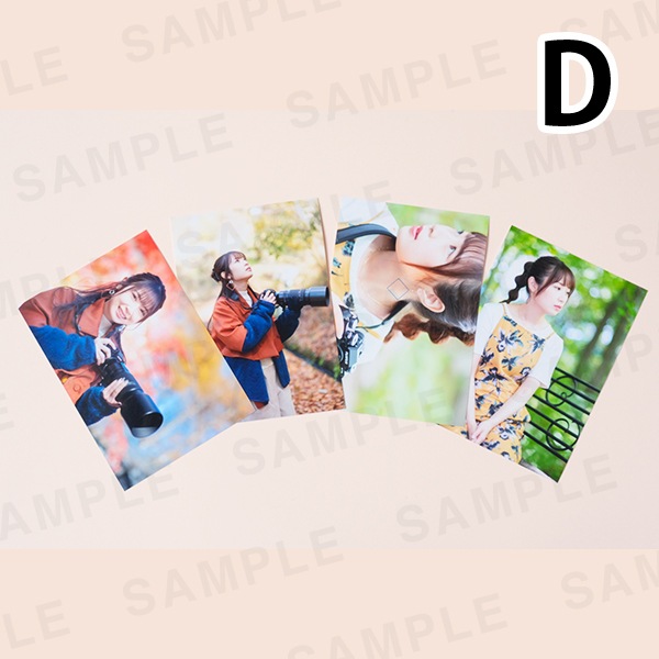 ���������ü̿��ץ��ȥ��åȡ�L������4�祻�å� �� ��5���