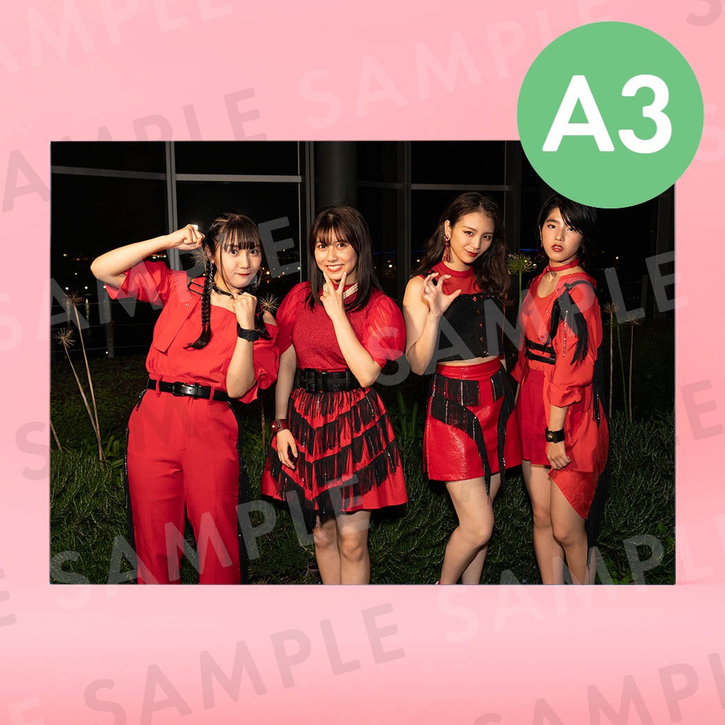 ����ե�å��ʥ��եȥ��ơ����ˡü̿��ѥͥ�A3��291��414mm��