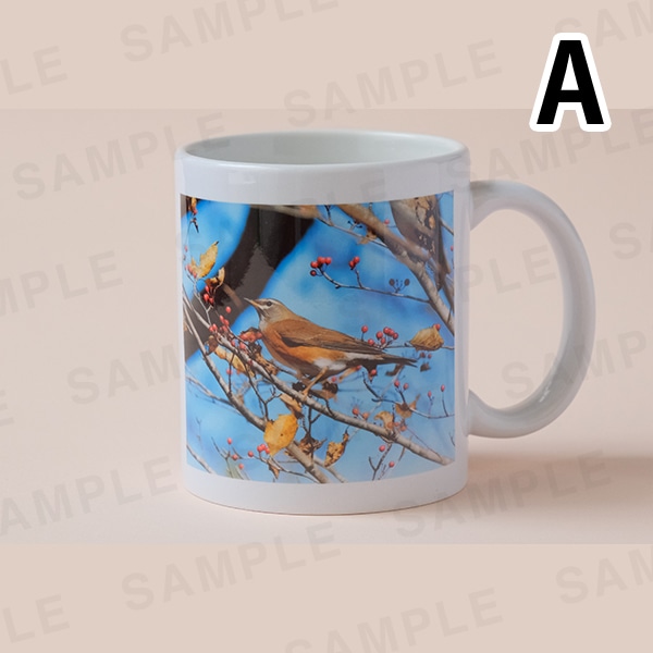 ���������åޥ����åס���3���