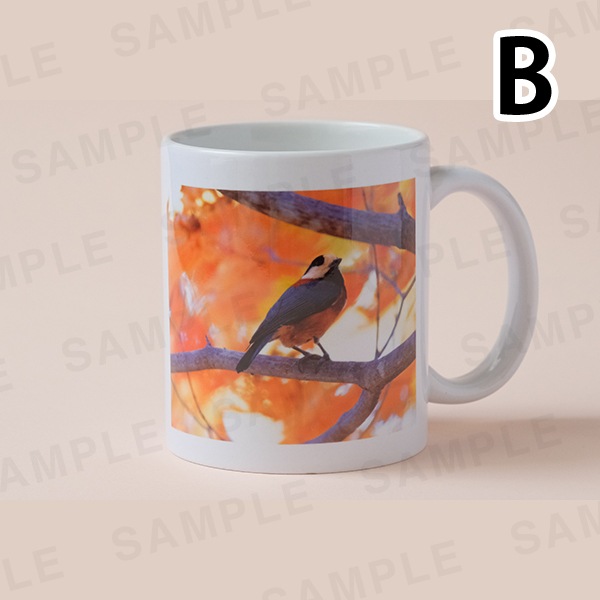 ���������åޥ����åס���3���