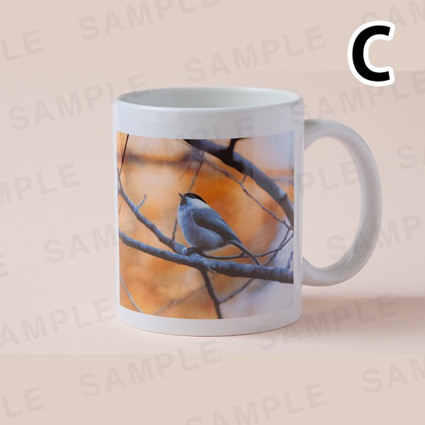 ���������åޥ����åס���3���