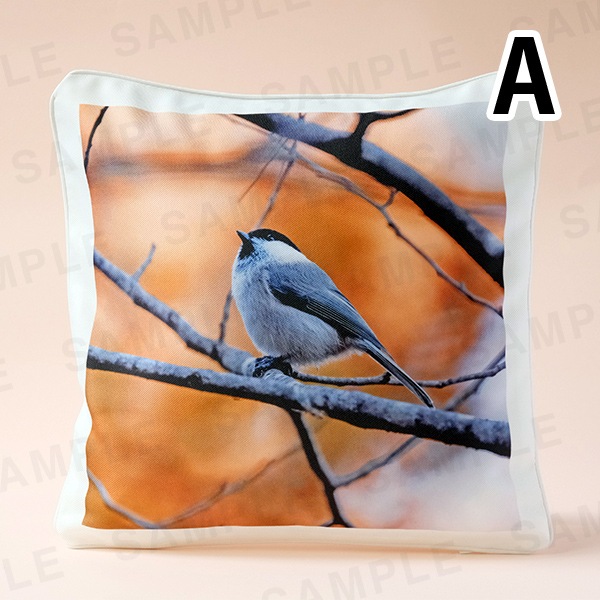 ���������å��å�������3���