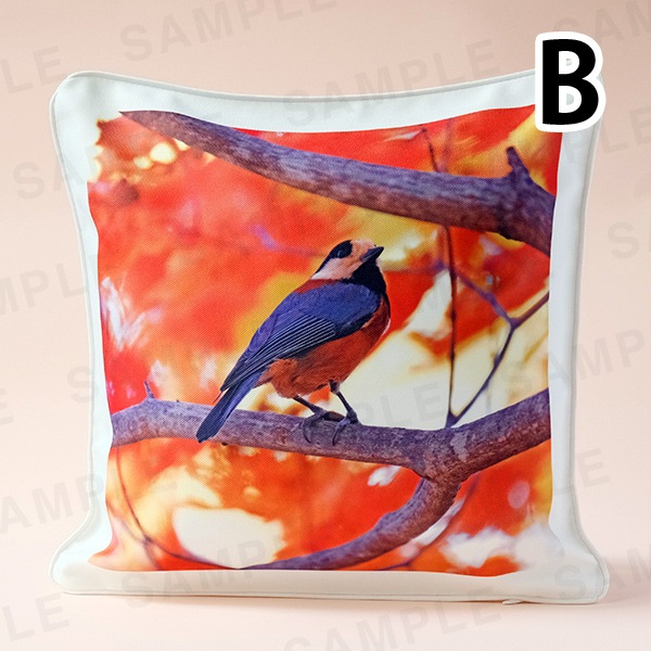 ���������å��å�������3���