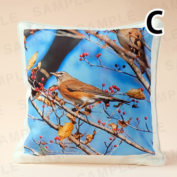 ���������å��å�������3���