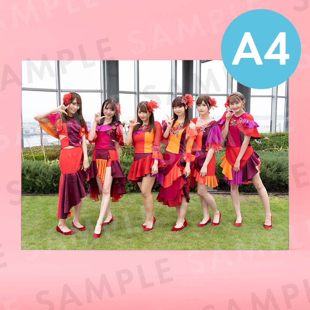 DOLLʥեȥơˡü̿ѥͥA4204291mm