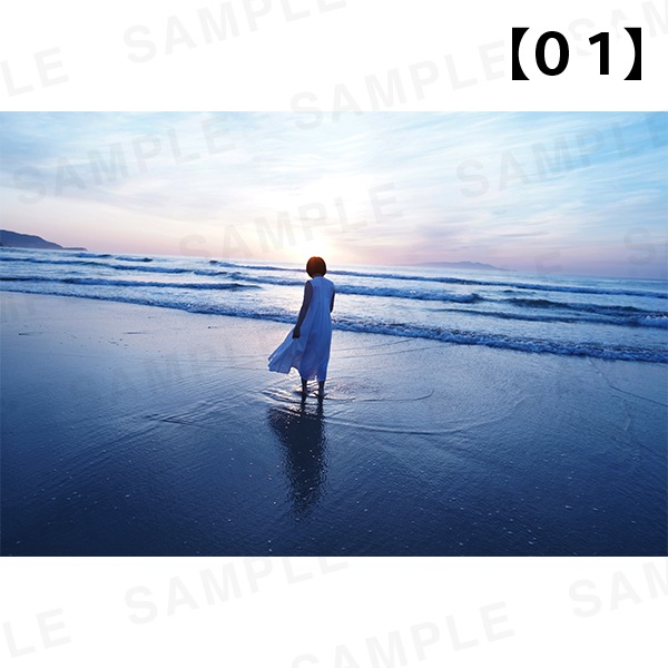 �ڹ�����ŵ�դ��۴��Ҥ�����-�̿���ι���벼�ġü̿��ѥͥ� A3������