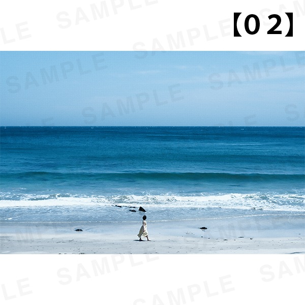 �ڹ�����ŵ�դ��۴��Ҥ�����-�̿���ι���벼�ġü̿��ѥͥ� A3������