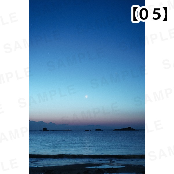 �ڹ�����ŵ�դ��۴��Ҥ�����-�̿���ι���벼�ġü̿��ѥͥ� A3������