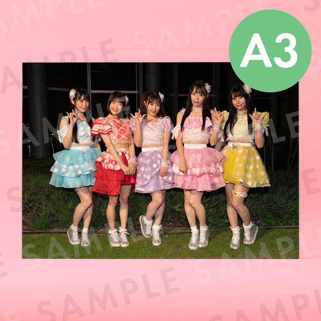 Luce Twinkle Wink���ʥ��եȥ��ơ����ˡü̿��ѥͥ�A3��291��414mm��