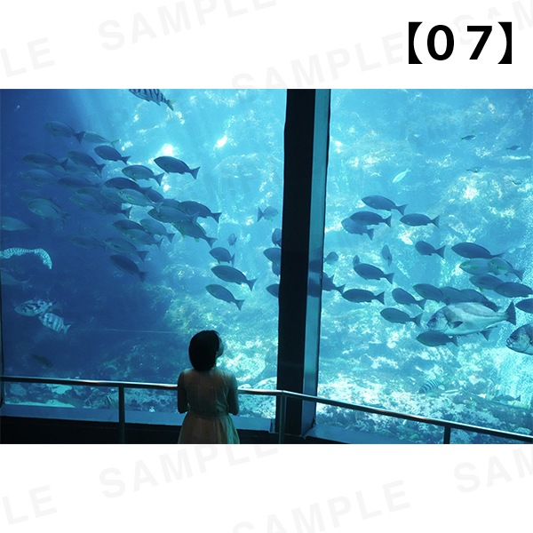 �ڹ�����ŵ�դ��۴��Ҥ�����-�̿���ι���벼�ġü̿��ѥͥ� A4������