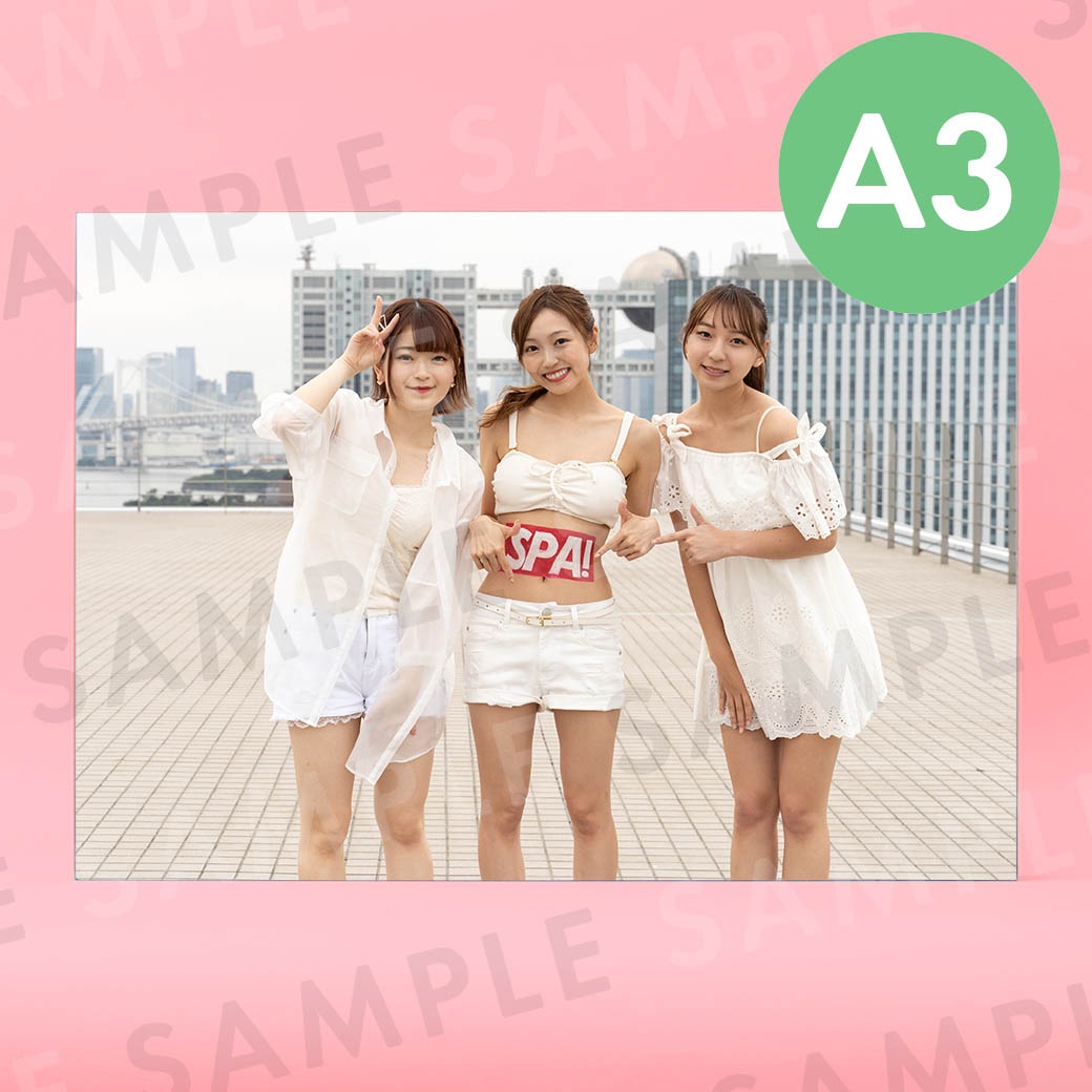 ž������*�ʥ��������ơ����ˡü̿��ѥͥ�A3��291��414mm��