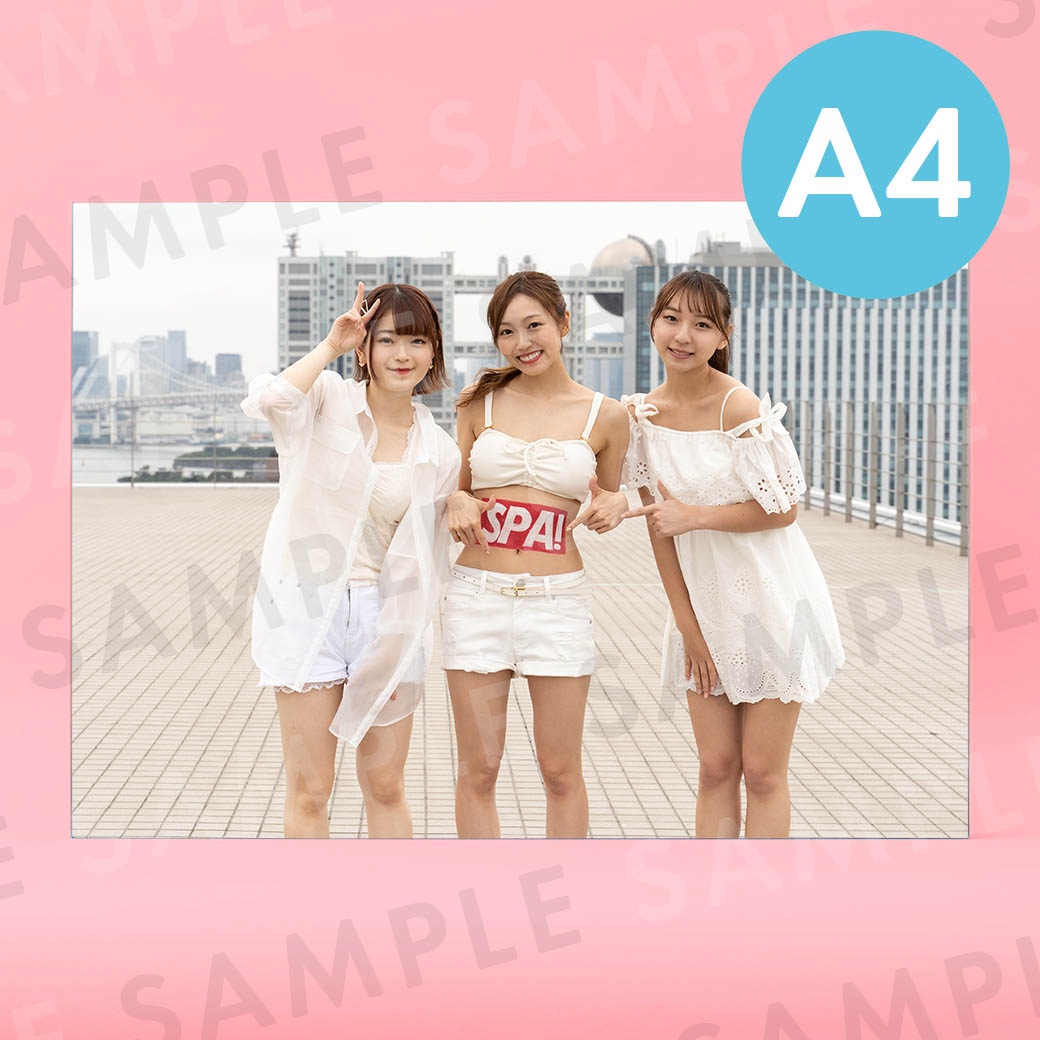 ž������*�ʥ��������ơ����ˡü̿��ѥͥ�A4��204��291mm��