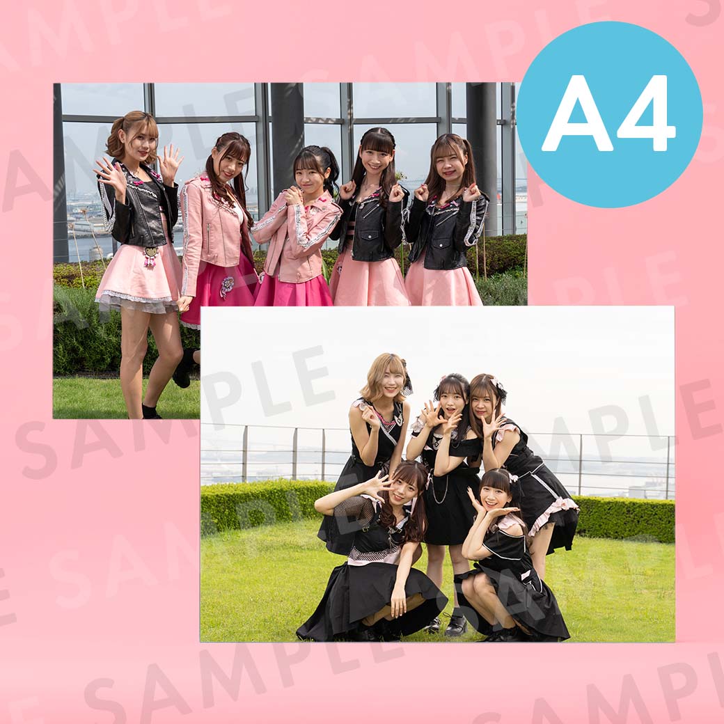 ������̿�ü̿��ѥͥ�A4��204��291mm��