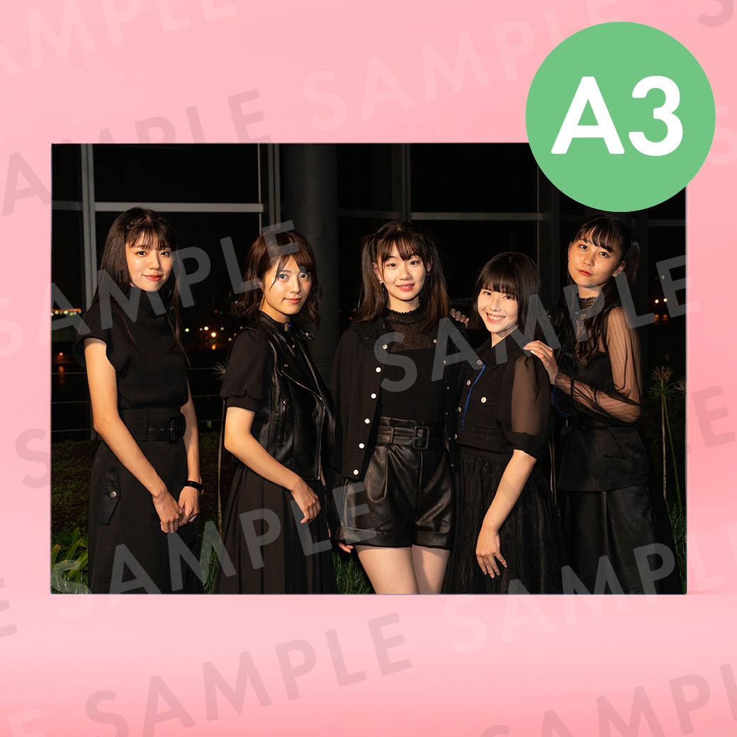 CROWN POP�ʥ��եȥ��ơ����ˡü̿��ѥͥ�A3��291��414mm��