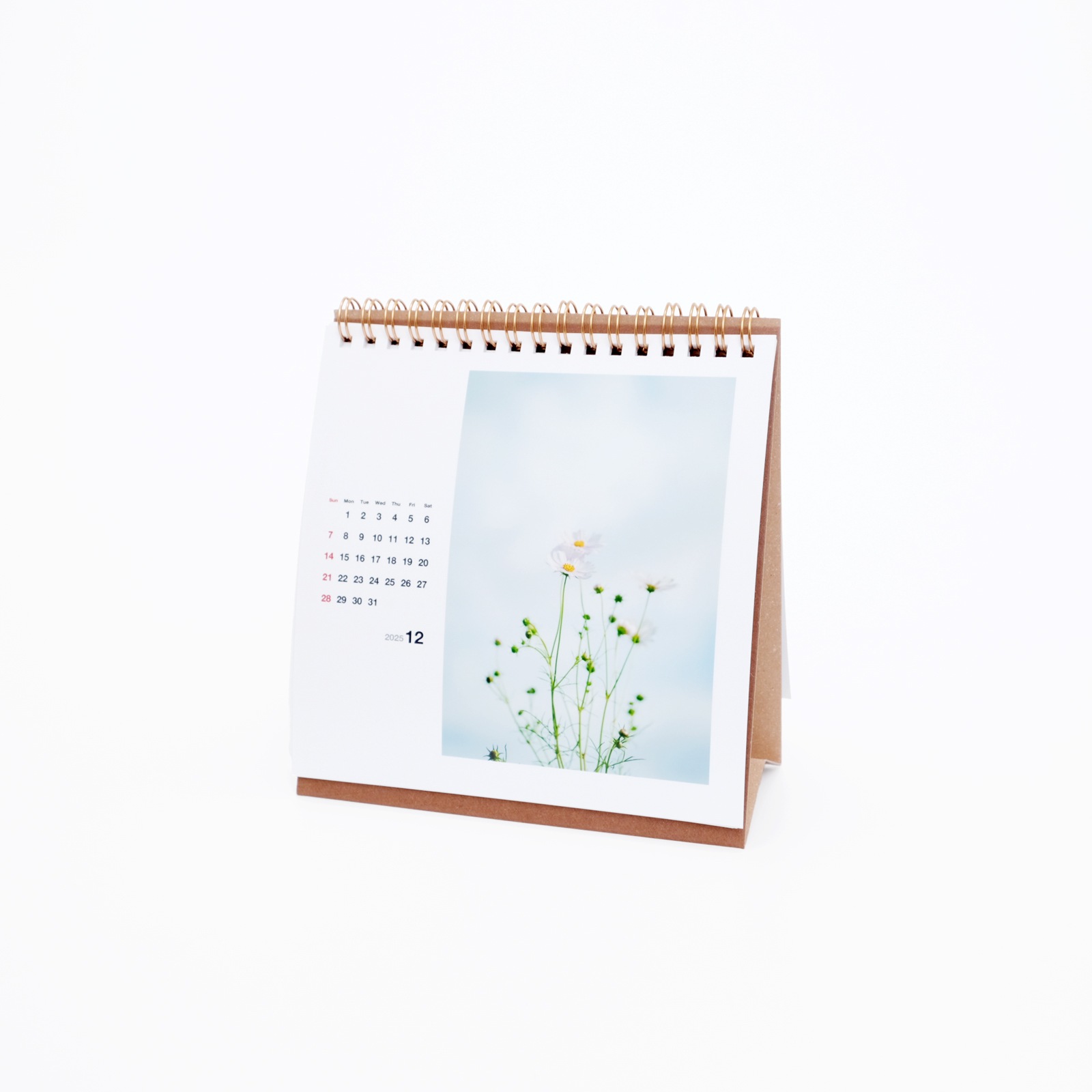 BIS����奫������