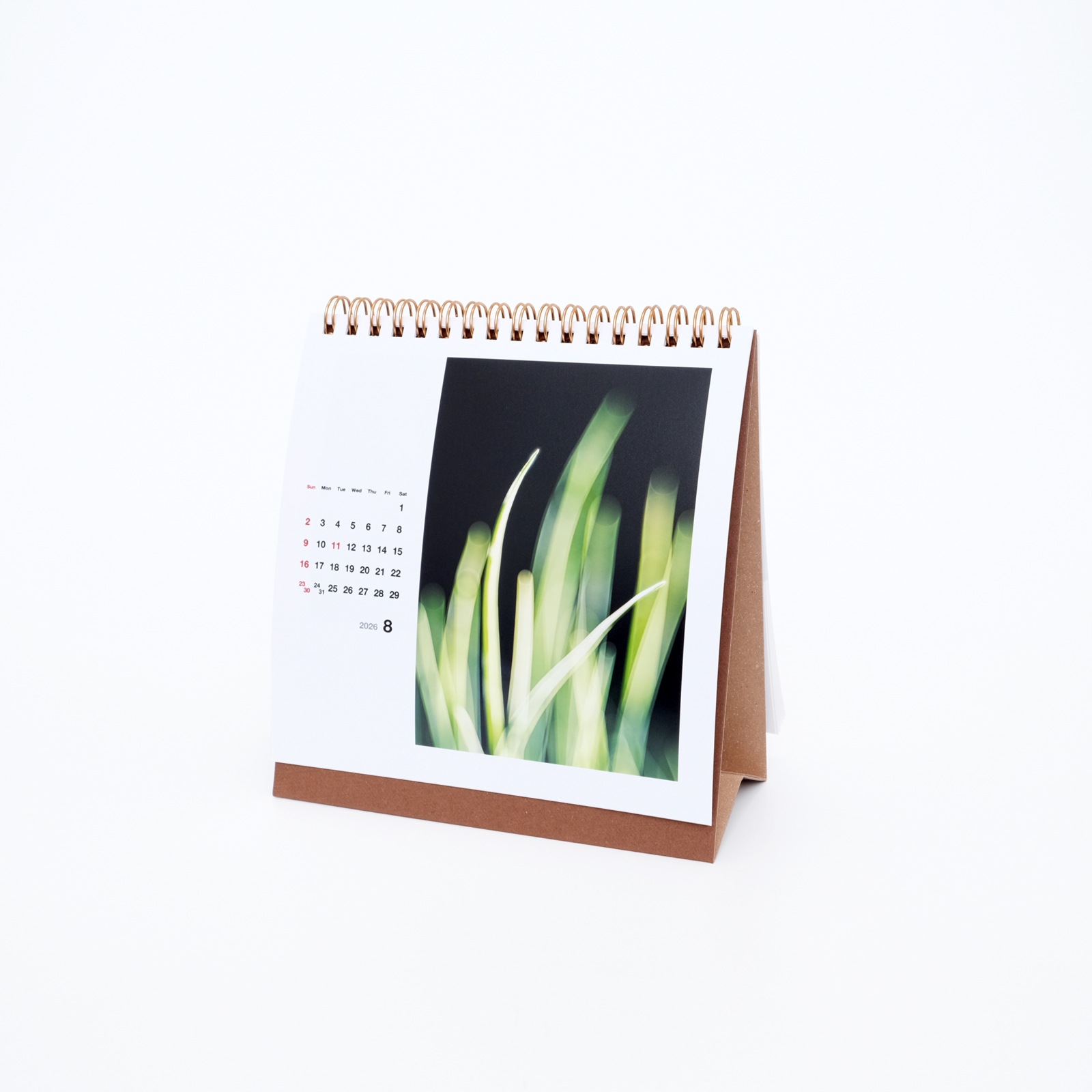 BIS����奫������