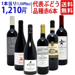ワイン ワインセット 代表ぶどう品種赤６本セット 送料無料 飲み比べセット ギフト 大人気 ^W0S1A6SE^
