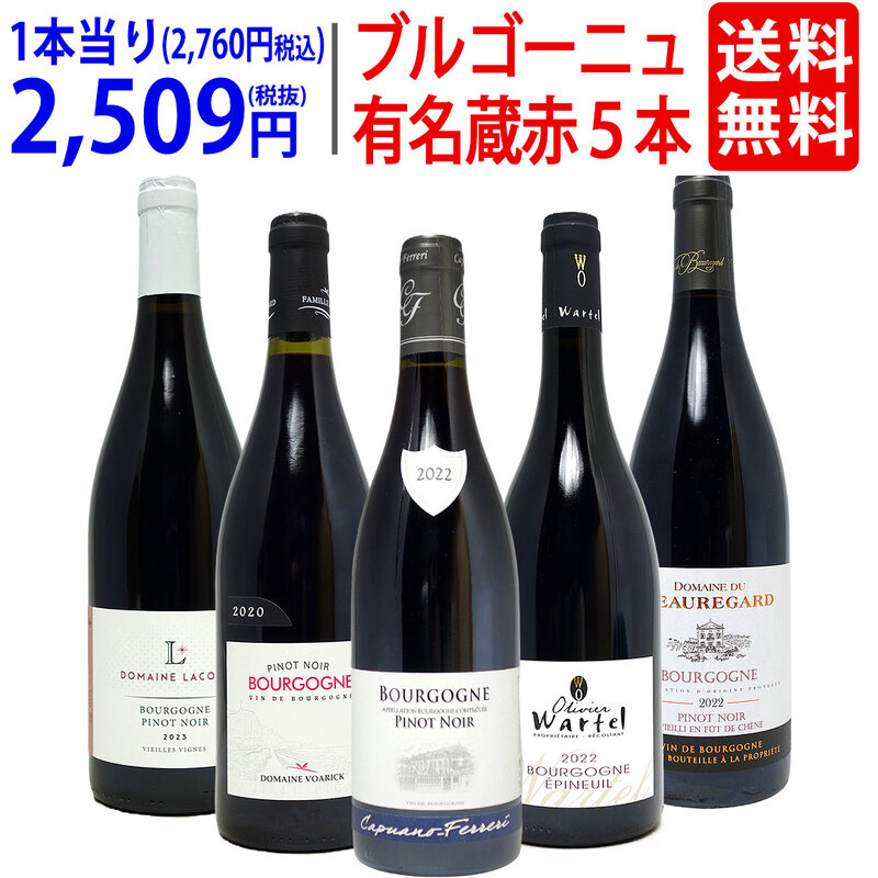 ワイン ワインセット ブルゴーニュ有名蔵 すべて激ウマ赤５本セット 送料無料 飲み比べセット ギフト 大人気 ^W0B580SE^
